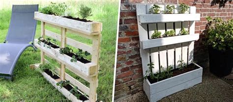 potager vertical en palette avec des fraises