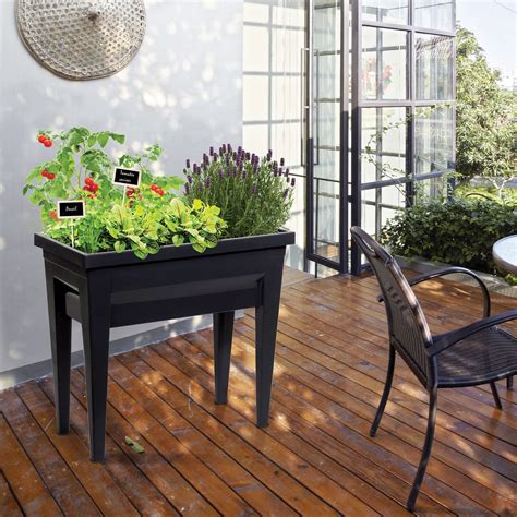 table potagère surélevée avec diverses plantations