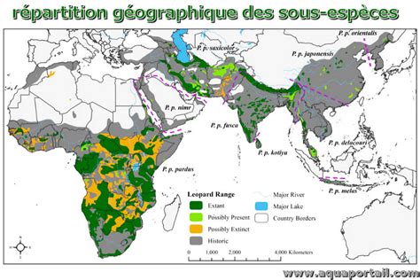 Carte de répartition des léopards