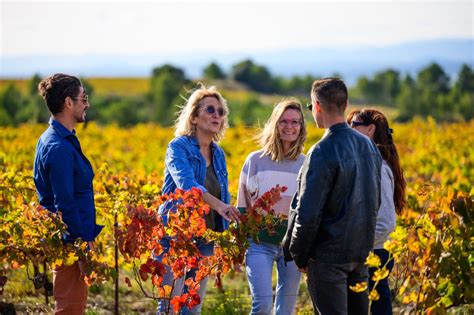 Vignerons de Monbazillac discutant dans un vignoble