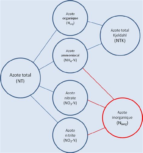 Schéma des formes d'azote dans l'ammonitrate