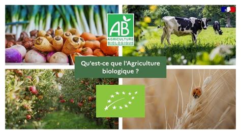 Tableau comparatif des types d'engrais azotés autorisés en agriculture biologique