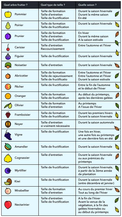 calendrier de taille des arbres fruitiers par saison