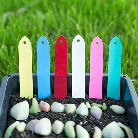 Matériaux variés pour les étiquettes de jardin