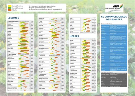 Tableau des périodes de semis recommandées selon le type de gazon (C3, C4)
