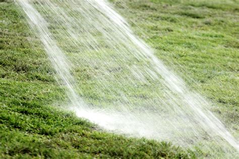 Calculateur d'économies d'eau pour un gazon résistant à la sécheresse