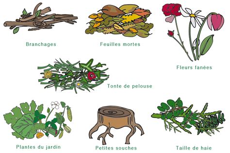 Schéma des types de déchets verts à broyer