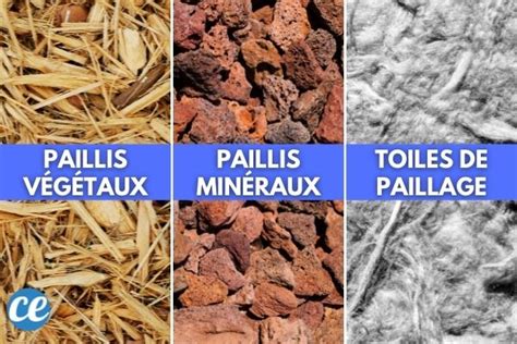 Différents types de paillage bois