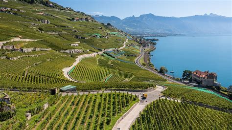 Vignoble en terrasses du Sud de la France