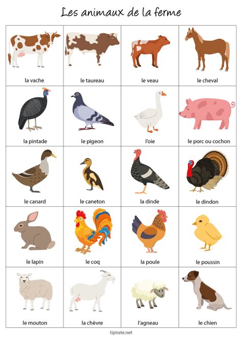 Illustration de diverses cultures et animaux de ferme stylisés sur un écran de smartphone