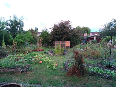 Jardin en permaculture riche en biodiversité à Perma G'Rennes