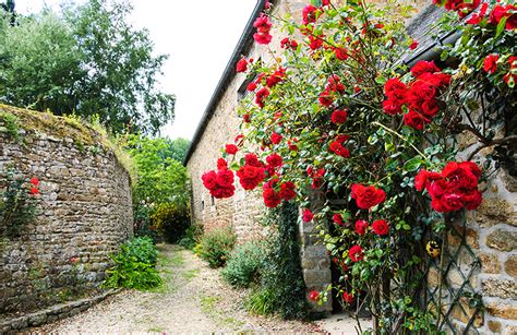 Maison en pierre avec rosier grimpant
