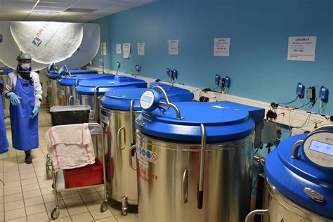 Intérieur d'un centre d'insémination artificielle avec des cuves d'azote liquide