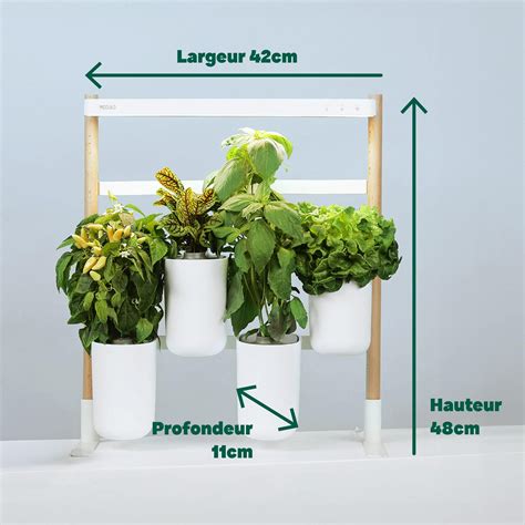 Potager Modulo configuré en mur végétal