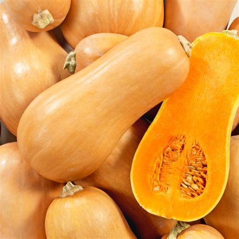 Illustration de la courge Sucrine du Berry, montrant sa forme en poire et sa couleur évolutive