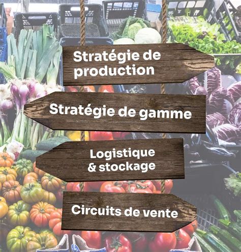 Schéma d'une stratégie push-pull en maraîchage