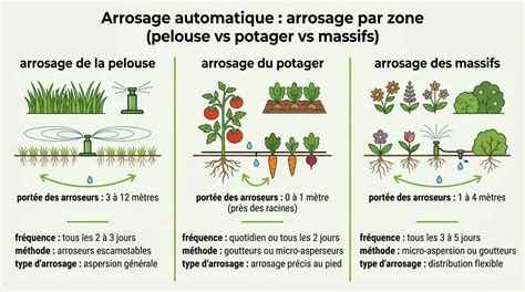 Comparaison arrosage jeune pelouse vs pelouse établie