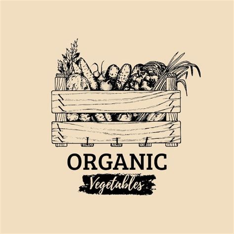 Logo de Germinance et illustration de légumes biologiques