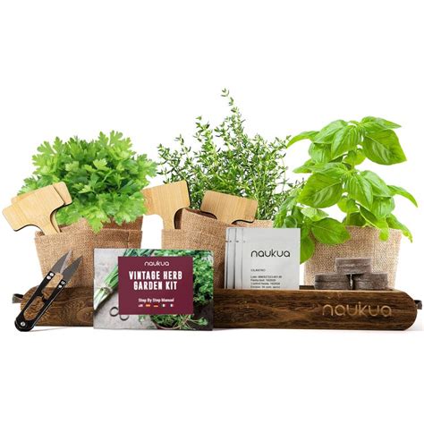 Image d'un kit de culture d'herbes aromatiques
