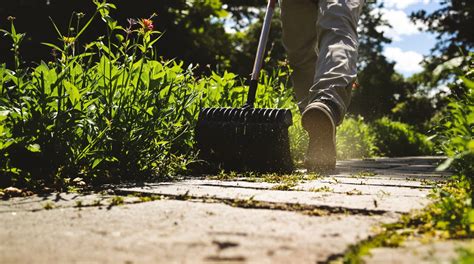 Jardinier utilisant un désherbant naturel
