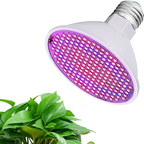 ampoule de croissance LED