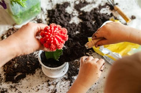 enfants jardinant en pot