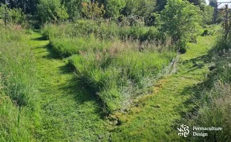 Exemple visuel d'un jardin avec tonte différenciée