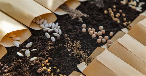 Plantes diverses et semences non F1