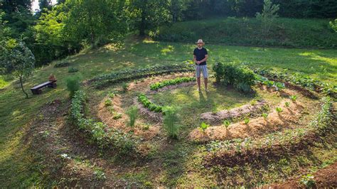 illustration d'un jardin permacole foisonnant de biodiversité