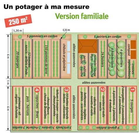 exemple de plan de potager avec emplacement des légumes