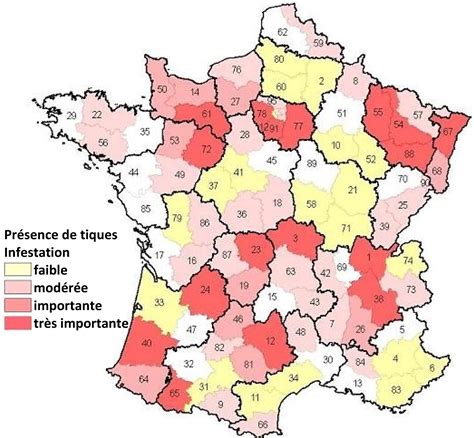 Carte des zones de prévalence des tiques en France