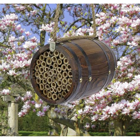 Photo d'élèves installant un abri à abeilles sauvages
