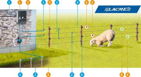 Schéma d'une clôture invisible pour chats