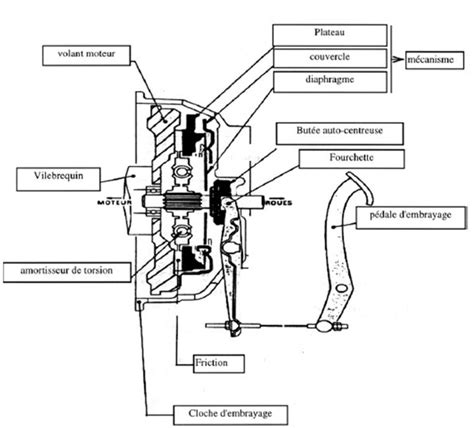 Schéma de fonctionnement d'un embrayage centrifuge de débroussailleuse