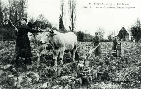 Femmes au travail dans les champs de Sologne