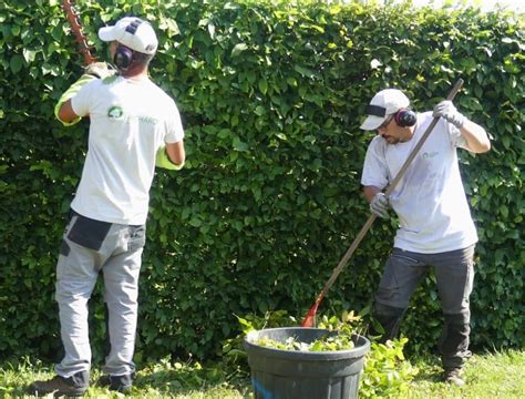 Équipe de paysagistes au travail