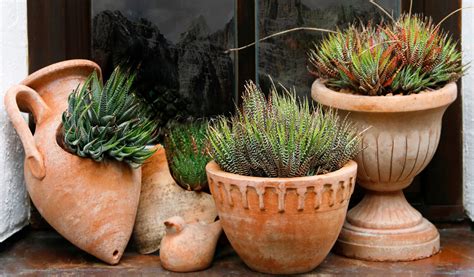 Rillettes d'oie dans un pot en terre cuite