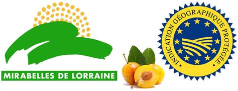 Logo IGP Mirabelle de Lorraine