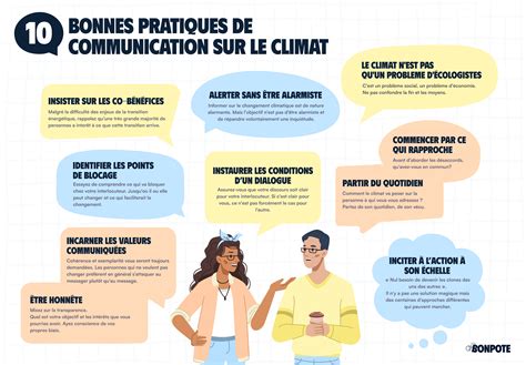 Infographie sur les bonnes pratiques de culture des carottes