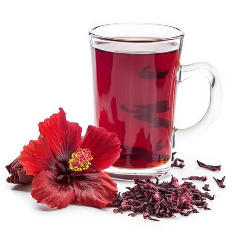 Infusion d'Hibiscus dans une tasse