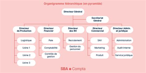 Diagramme illustrant l'organigramme simplifié d'une SAS
