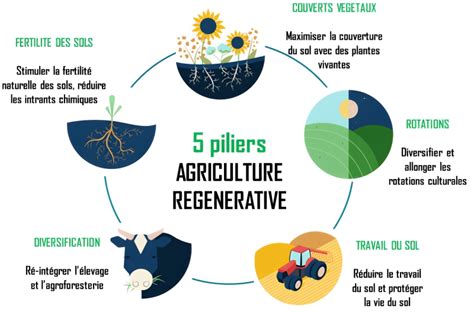 Exemple d'agriculture régénérative