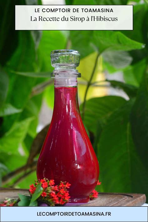 Bouteilles de sirop d'hibiscus fait maison