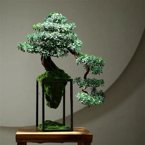 Bonsai majestueux