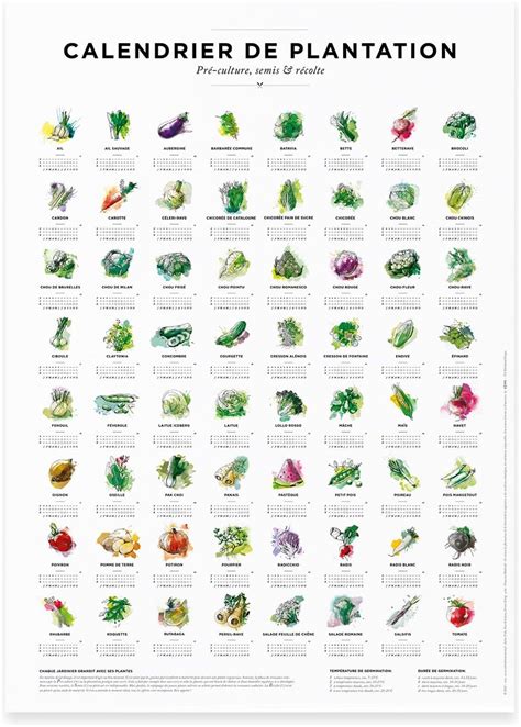 Calendrier de semis et plantation