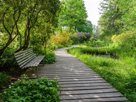 Chemin accessible dans un parc