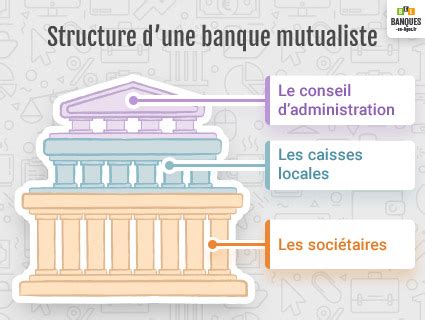 Structure d'une banque mutualiste et ses liens avec les sociétaires