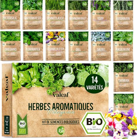 Assortiment d'herbes et graines biologiques