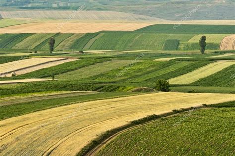 Ferme biologique avec champs cultivés