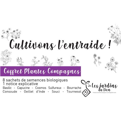 Plantes compagnes du rhododendron